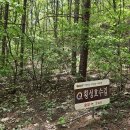 횡성 호수길 2구간 이미지