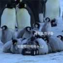 놀던스파이 이미지