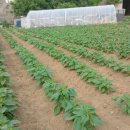 세윤농장 이미지