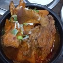 붉은오름자연휴양림3 이미지