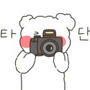 하이원돈막창 이미지
