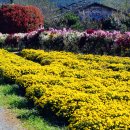 오늘은불고기 이미지