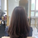 살롱의정석 네이버블로그