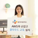 올리브 이미지