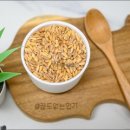 곡물이네 이미지