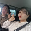 그루밍 스팟 | 강원도 영월 가볼만한곳 | 젊은달와이파크 내돈내산 추천 | 할인방법 &amp; 근처 맛집 O