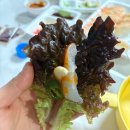 감골횟집 | 안산 사동 가성비 포장전문 횟집 회 맛집 [신선한바다] 내돈내산 후기