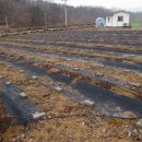 성일농원 이미지