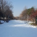 겨울 서울숲(1) 이미지