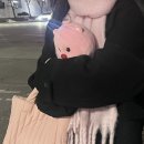 권가네 횟집