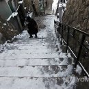 창원댄스스포츠학원 이미지