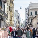 한자로의 산책 이미지