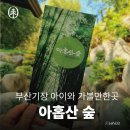 부산 기장 아이와 가볼만한곳ㅣ아홉산 숲 [출처] 작성자 라이크Me