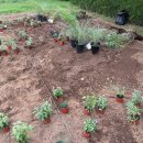 노을7(여가센터) 이미지