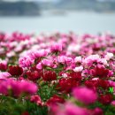 용바위공중화장실 이미지