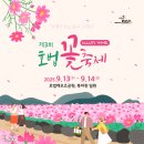 호법 코스모스길 이미지