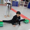 ACE 태권도장 이미지