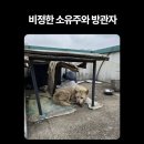 화력주유소