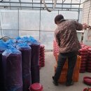 승리농장 이미지