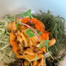 강릉경포물회 이미지