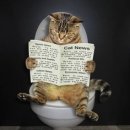 연세항외과의원 이미지