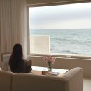 엔게디하우스 | [포항] 엔게디스테이, 오션뷰 신상 독채 내돈내산 찐 후기