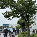 중앙길 | 강릉 중앙시장 길감자 후기 ｜ 소스 추천 내돈내산 후기