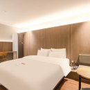 브라운 도트 이미지