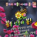 🌸 2월을 마무리하며 '마음의 인사를 전합니다' 🌸 이미지