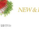 일번지유통