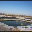 종진농장 | 영정도 대하구이 집 맛집 후기 _가시오이 종진농장