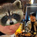 감천슈퍼 | 오이시쿠나레 모에모에뀽