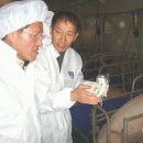 화성양돈 이미지