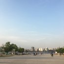 데일리샤