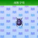 쇠똥구리상점