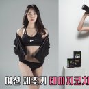 서연점핑