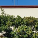 담장예쁜집 이미지