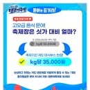 2026 저도 대문어축제 일정 총정리 문어 먹고 바다까지 즐기는 강원도 여름축제