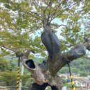 오동마을회관 이미지