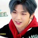 pops pc 이미지