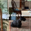 옥수회관 | 제주 소길리 카페 추천 귀여운 모모가 함께하는 골목카페옥수
