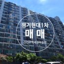 평거1차현대아파트 이미지