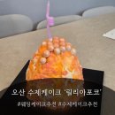 하얀바다 | [오산 수제케이크 강추] 릴리아포코 — 오산대역 케이크 솔직 후기