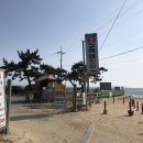 몽산포감성캠핑장 이미지