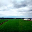 백두산장어 이미지