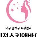 비젼(229) 네이버블로그