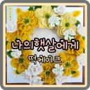 회원동145 | 나의햇살에게 마산떡케이크