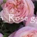 로자리안 이미지