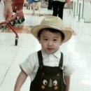 (주)퓨잉 네이버블로그