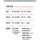 더캡슐 명동 이미지